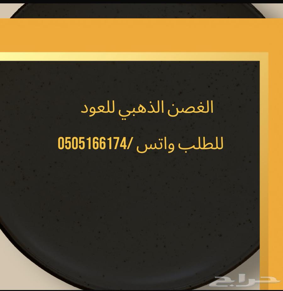 الغصن الذهبي للعود632429258990111123