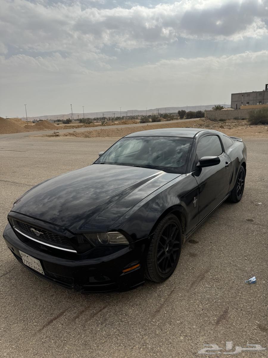 موستنج 2013 للبدل المناسب63367084677251114
