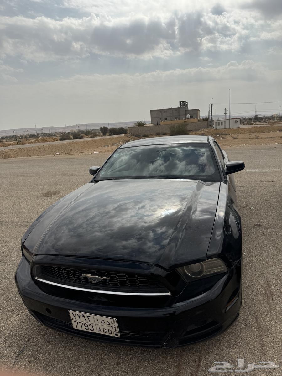موستنج 2013 للبدل المناسب63367084677251112