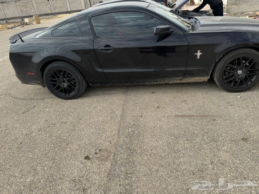 موستنج 2013 للبدل المناسب63367084677251113