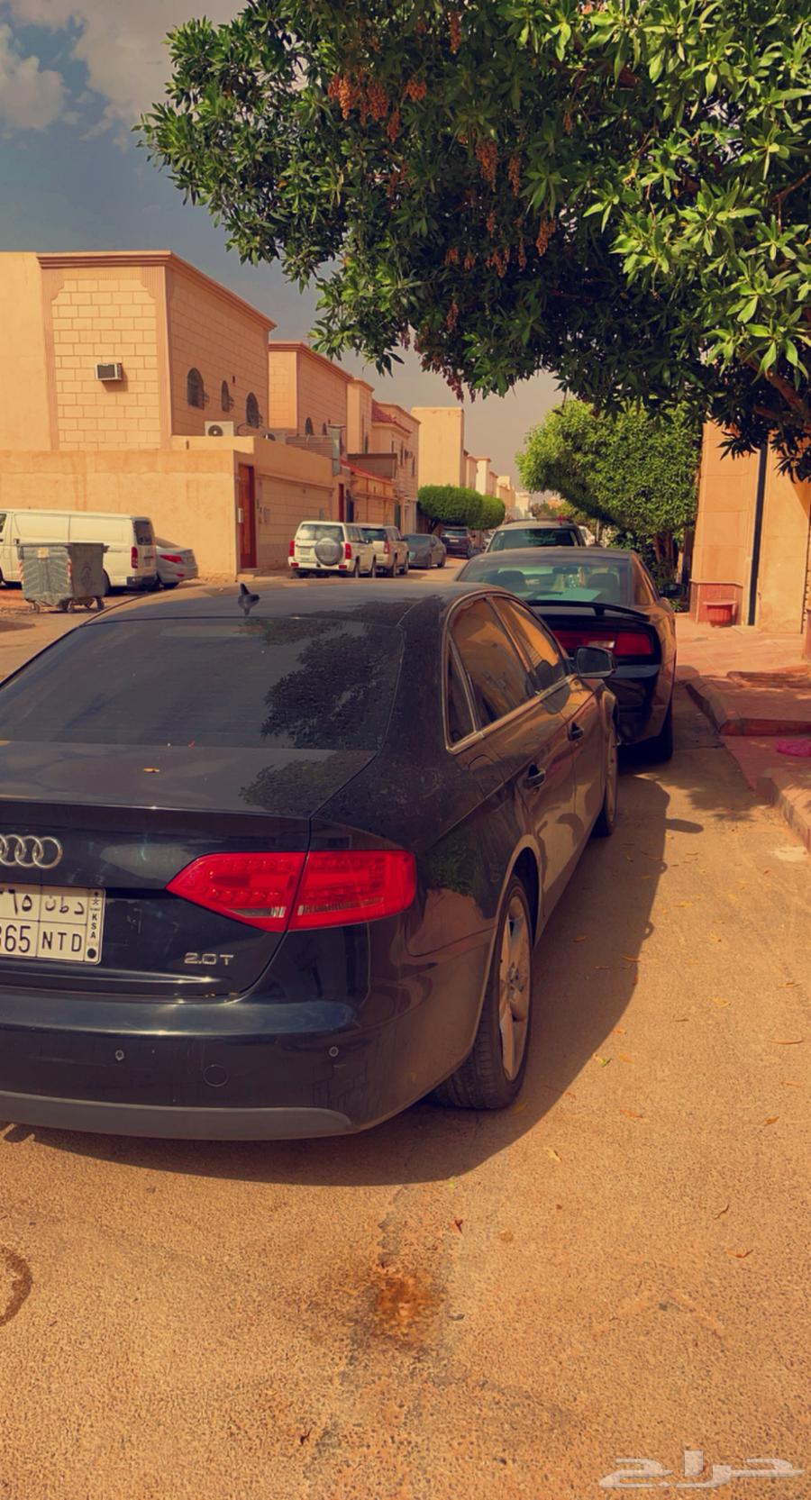 Audi63368797186561113