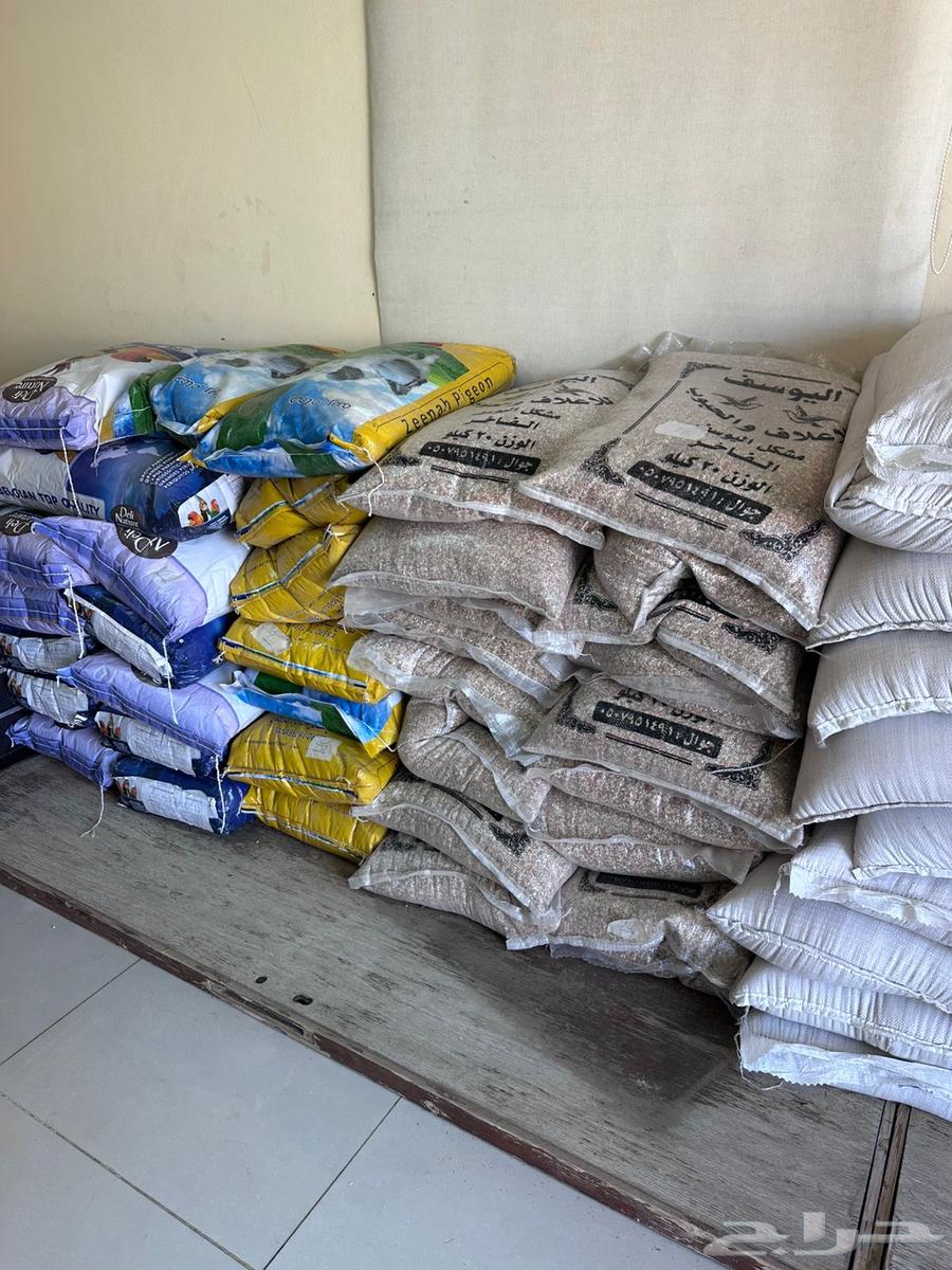 Poultry, pigeon, rose, crow, and seed birds feed63239859372545111