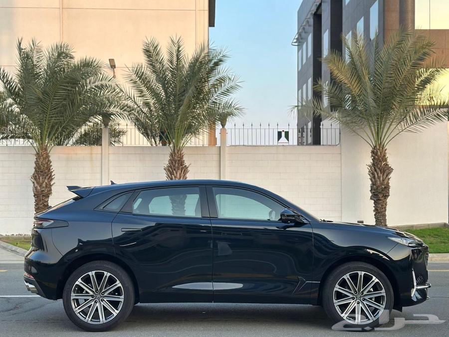 (Sold)63366174878722114