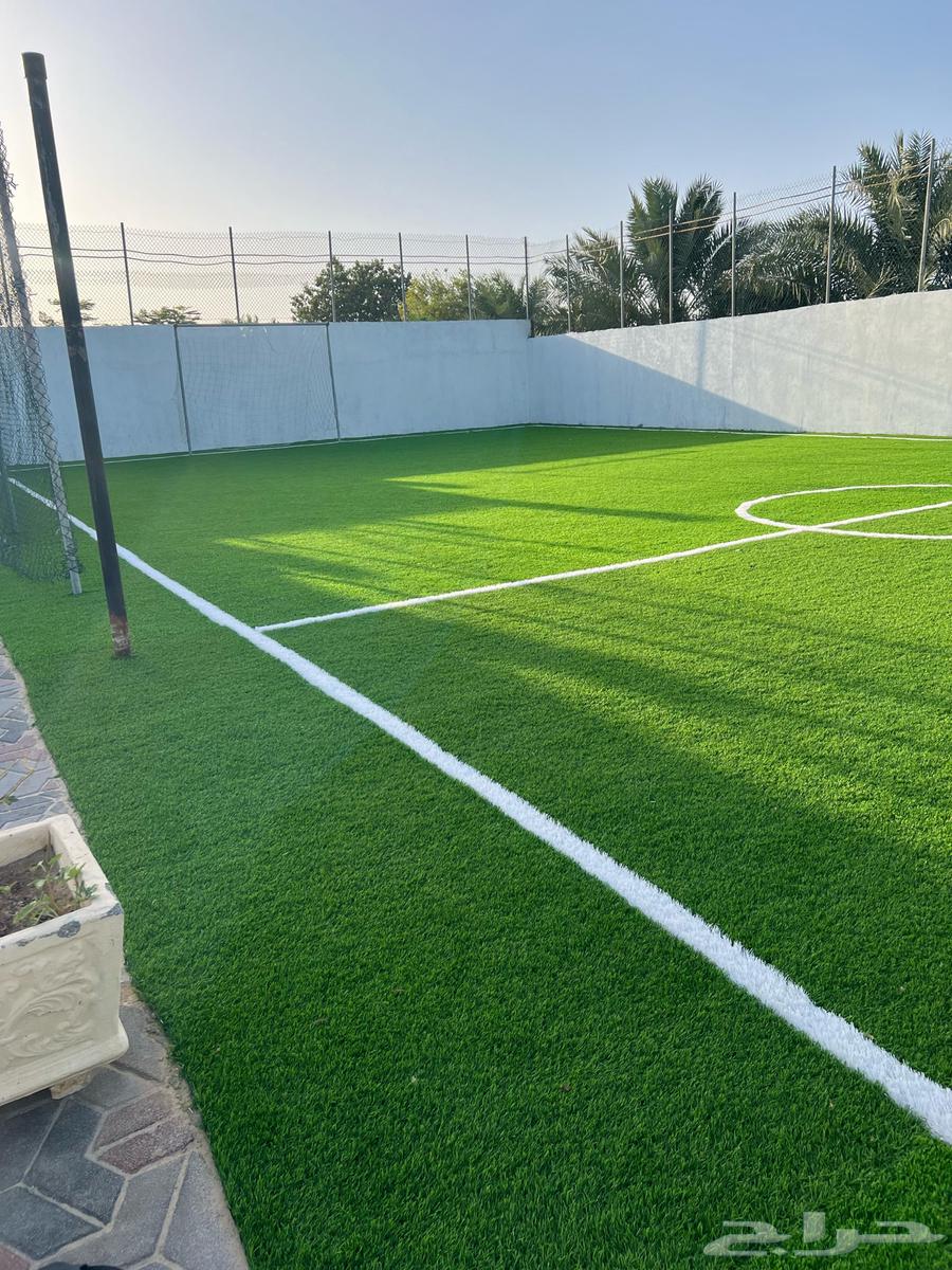 استراحة الجودي للايجار اليومي63008397247618114