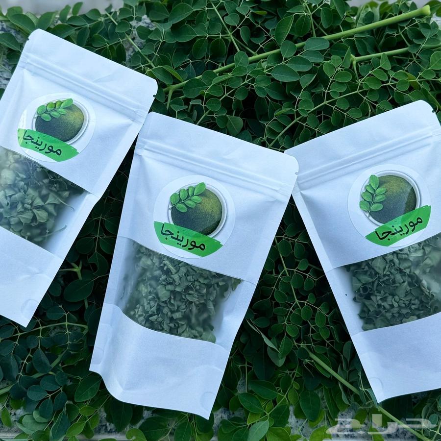 Organic moringa63240383220226111