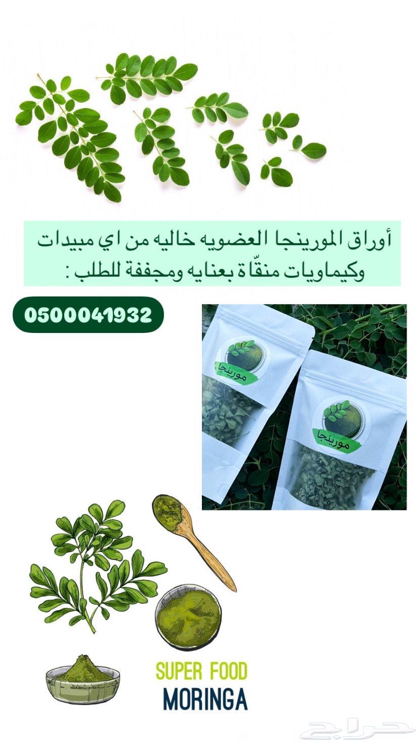 Organic moringa632403832202261124