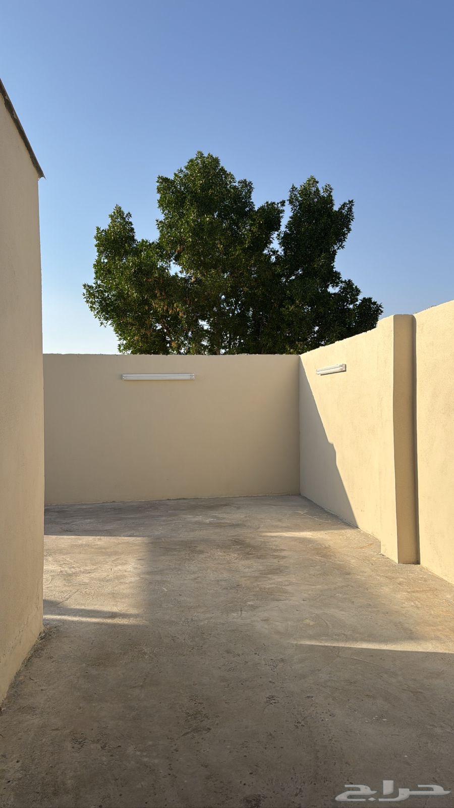 شاليهات عزاب كل القمر63008501845378111