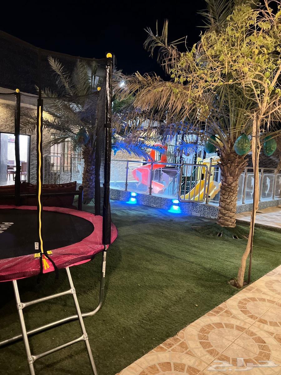 Daily rental villas in southern Riyadh, midweek for 35062884360098689111