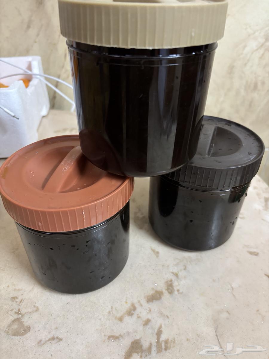 عشل اصلي جبلي 35063534329949954111