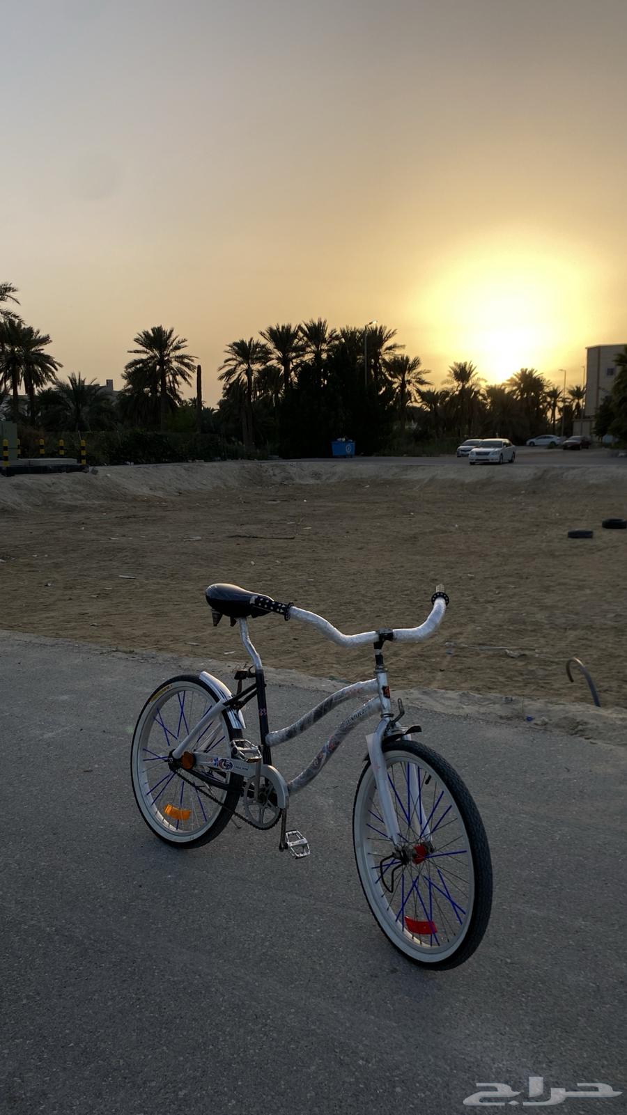 24-inch bicycle, starting price from 30063235322310657111