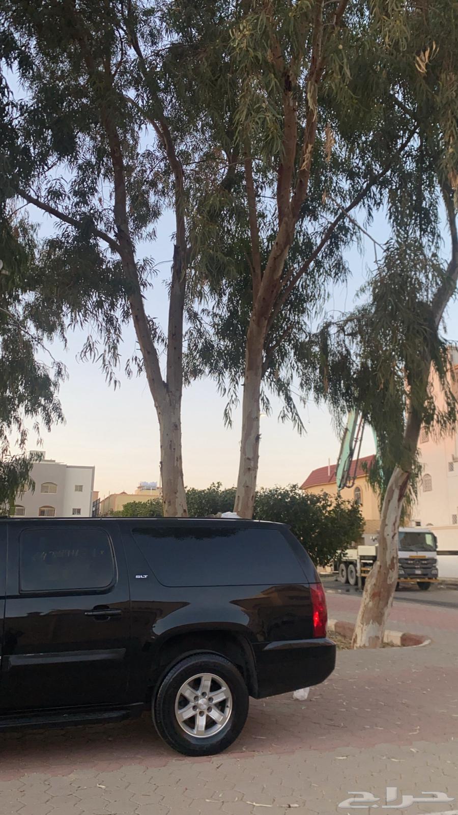 جمس يوكن63360544227202113