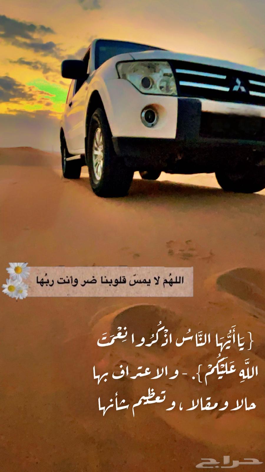 كورد 202463470191420674114