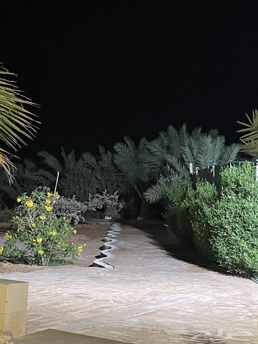 Rest house for rent in Al-Masha'el, Na3zheh scheme, discount for Eid Al-Adha62884362588803113