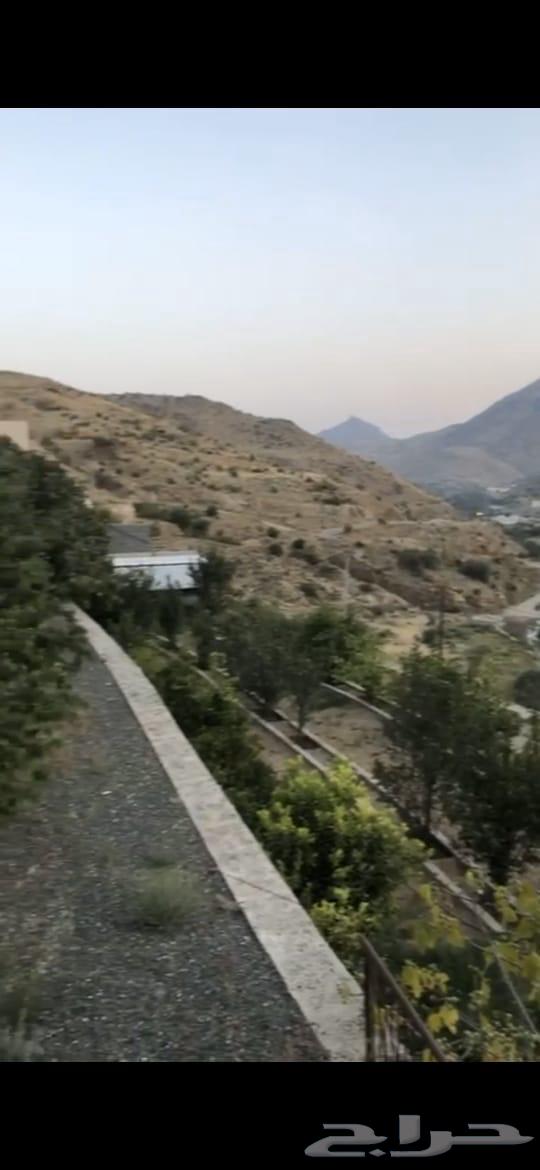Product for sale in Beni Omar resort63008443859843112
