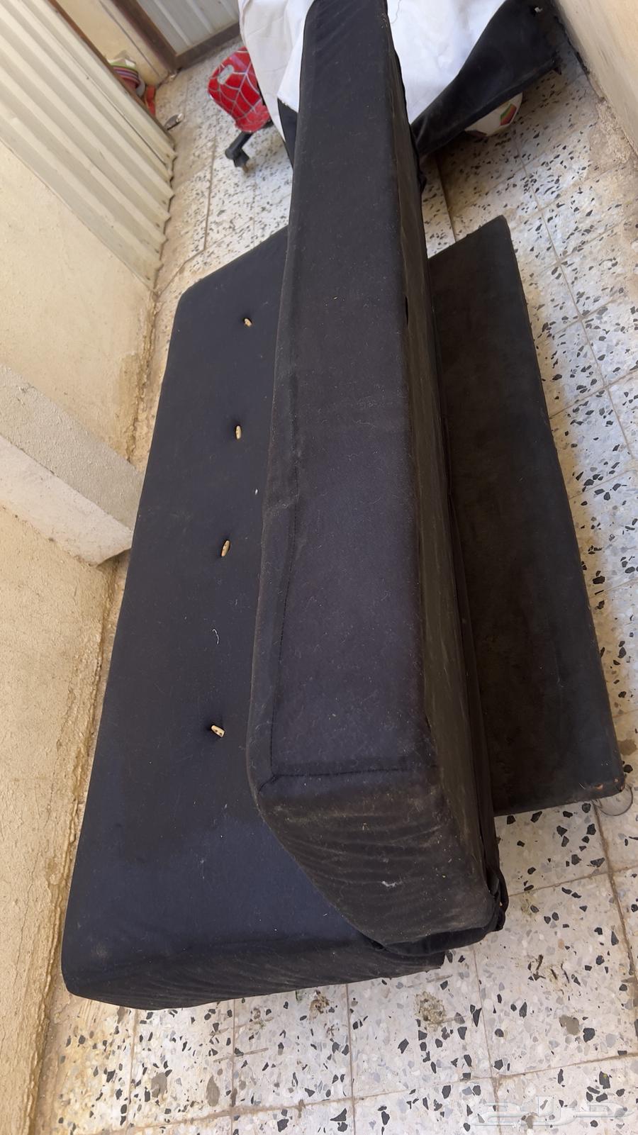 A book that turns into a bed at the same time63532027267842112