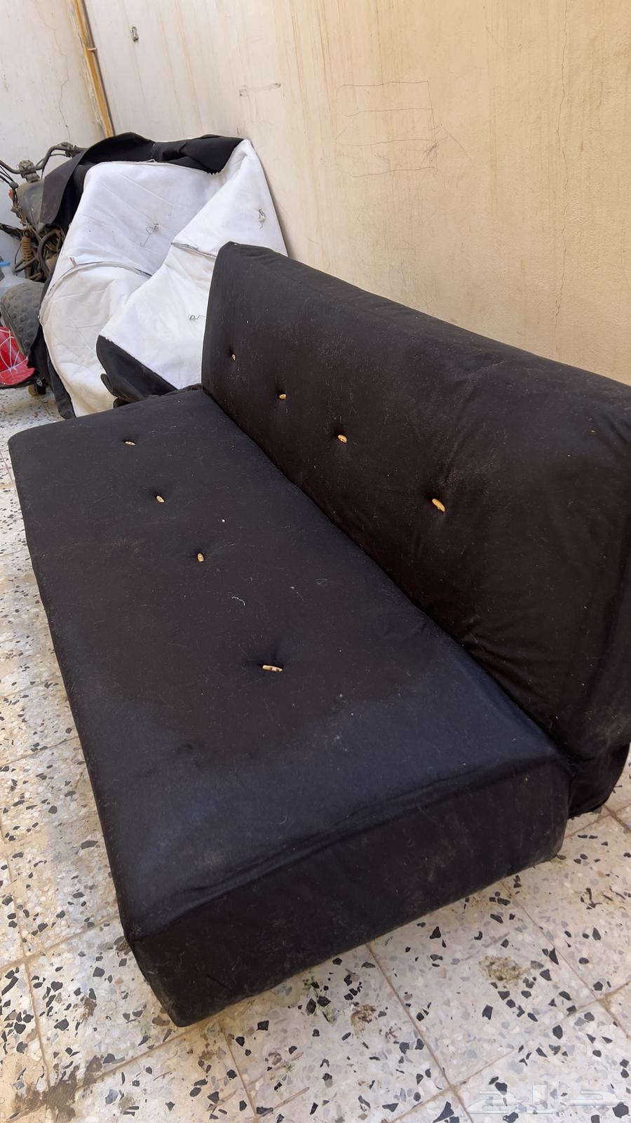 A book that turns into a bed at the same time63532027267842111