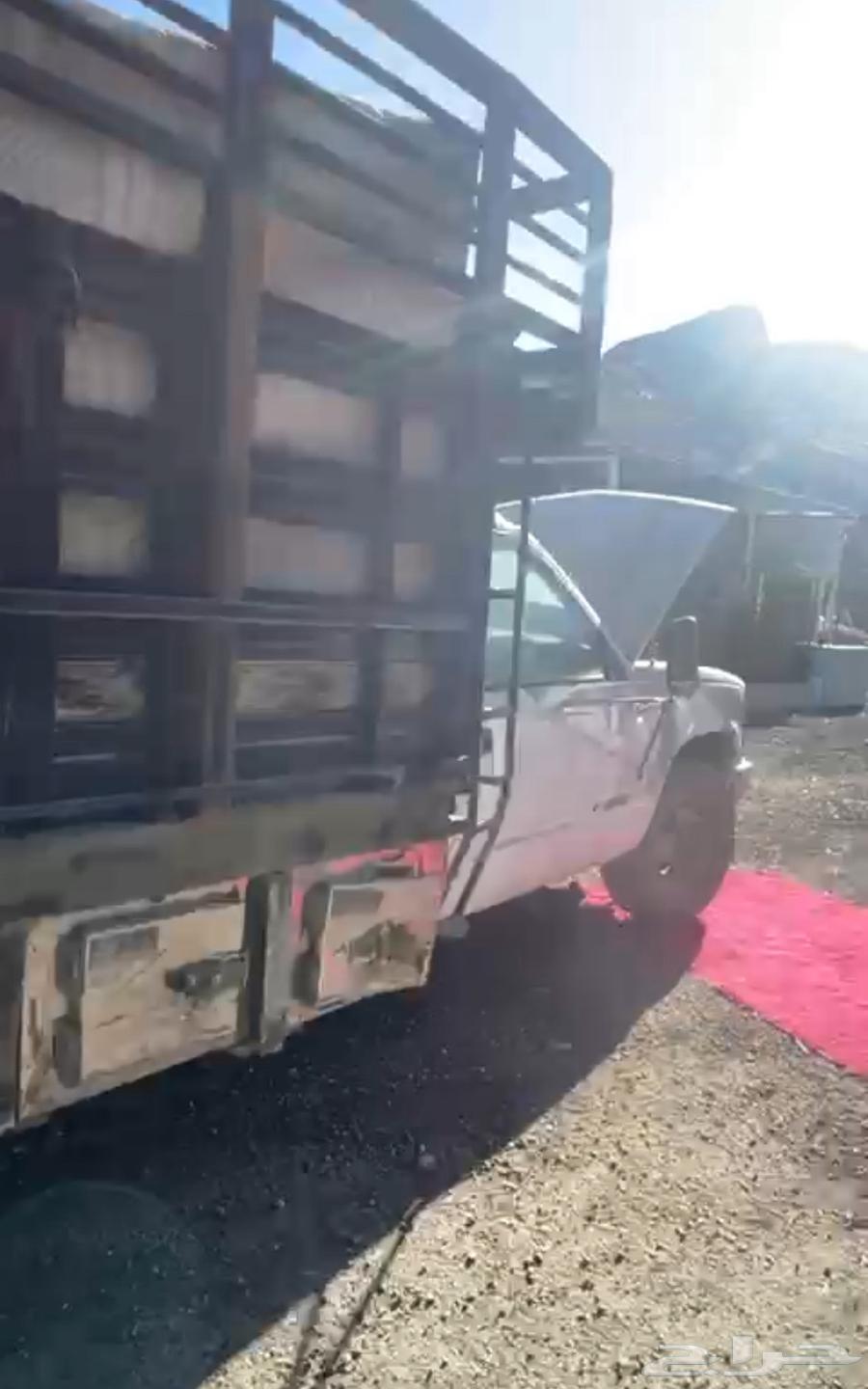 ظهران الجنوب63351264928258111