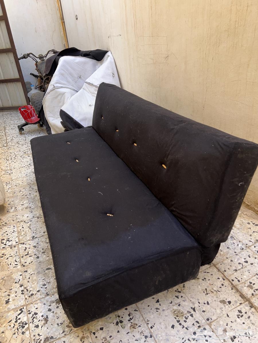 A book that turns into a bed at the same time63532027267842114