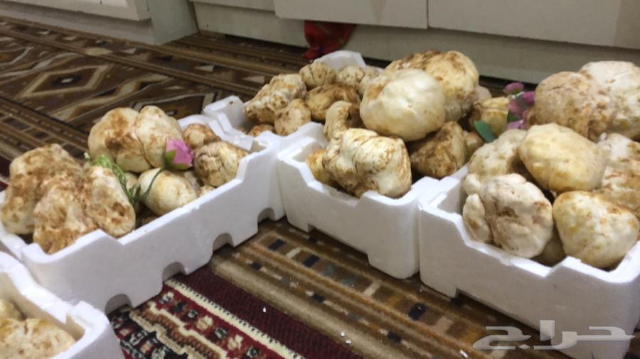 فقع زبيدي حق هدايا فاخر من الاخر63233873672067113
