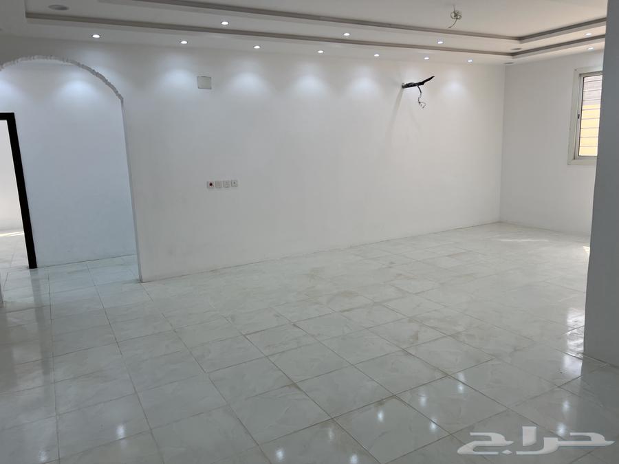 6 independent rooms on the roof and courtyard for rent62884364046467112