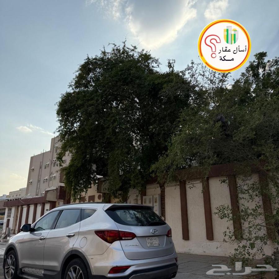 عمارة للبيع دور العمرة الجديدة ( الشوام )63008563333379113