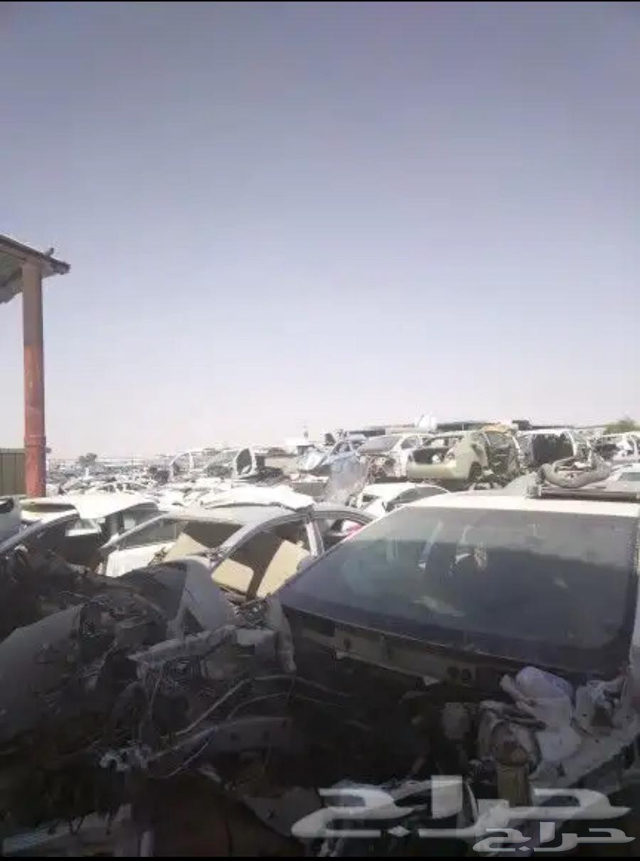 Expert scrap agent633461045743381120