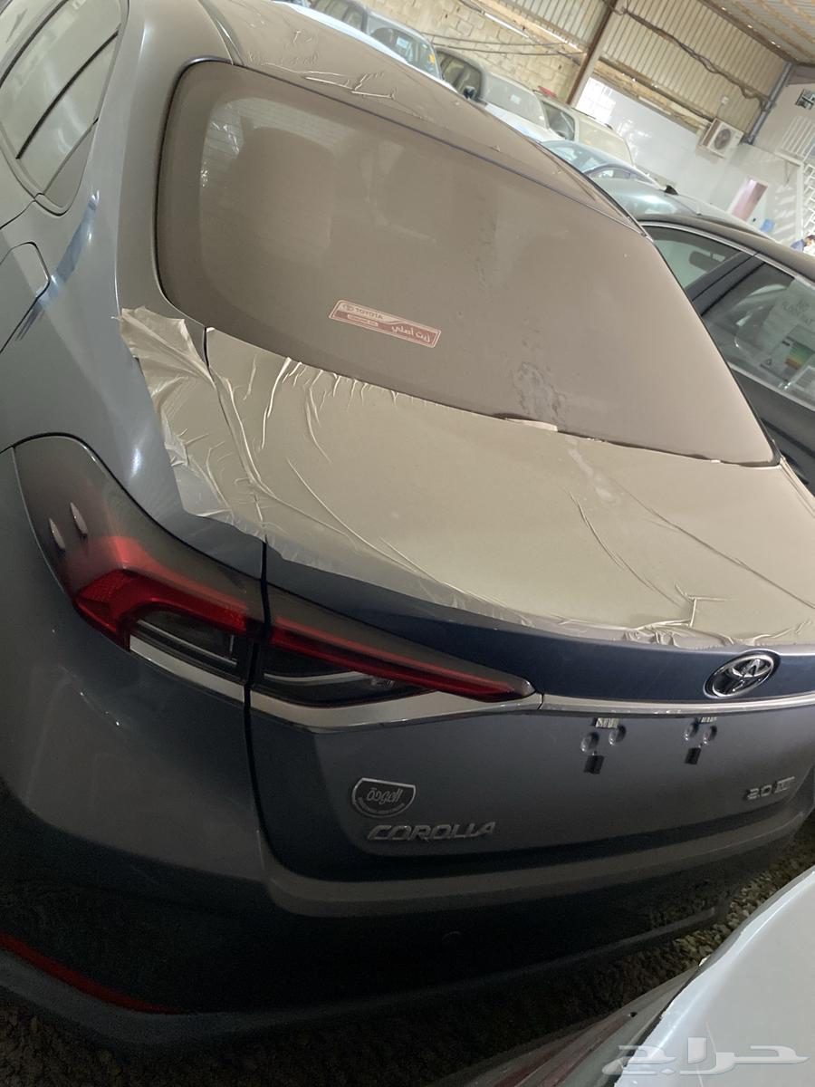 Krolla Standard 2.063345696079106112