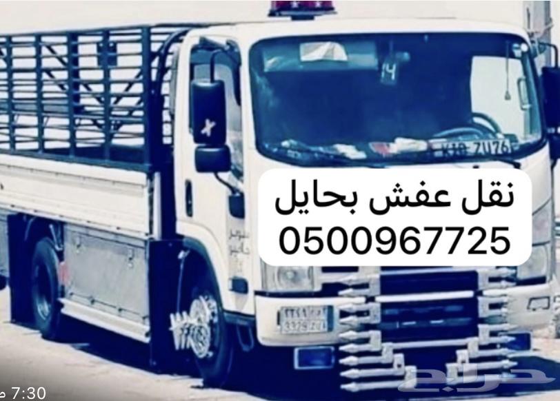Dina for transport630086277799691117