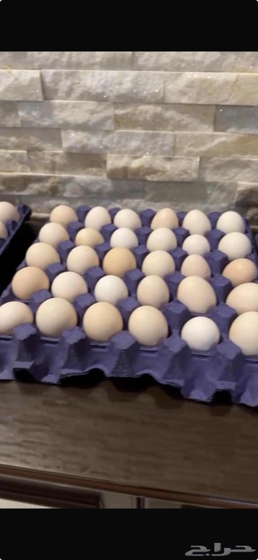 Fresh local eggs632240831665941118