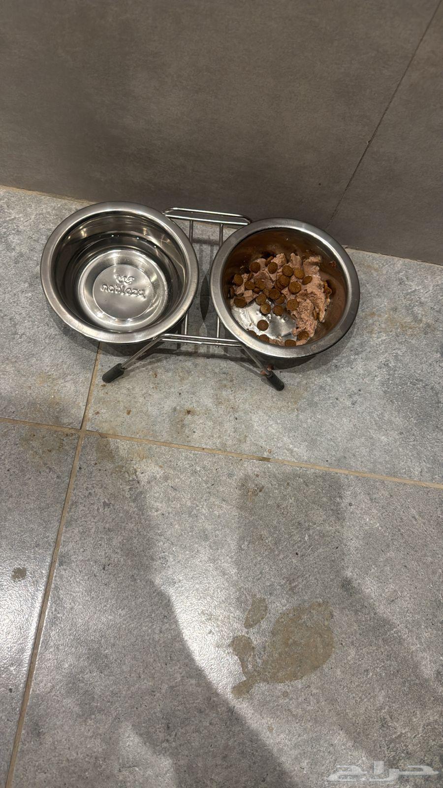 Cat supplies for sale63221562374274114
