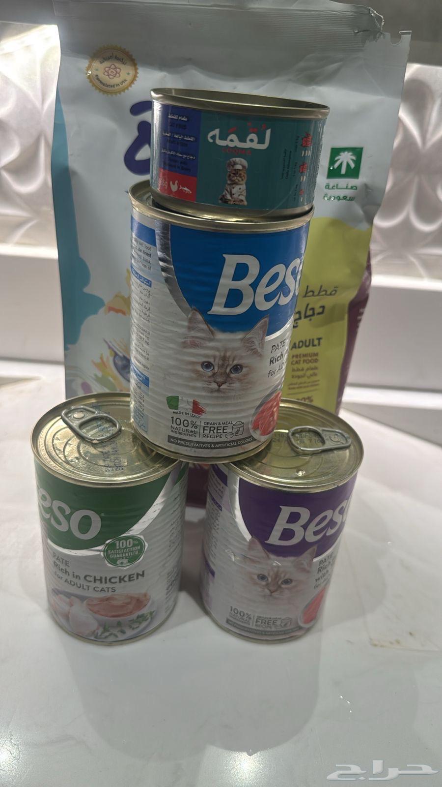 Cat supplies for sale63221562374274113