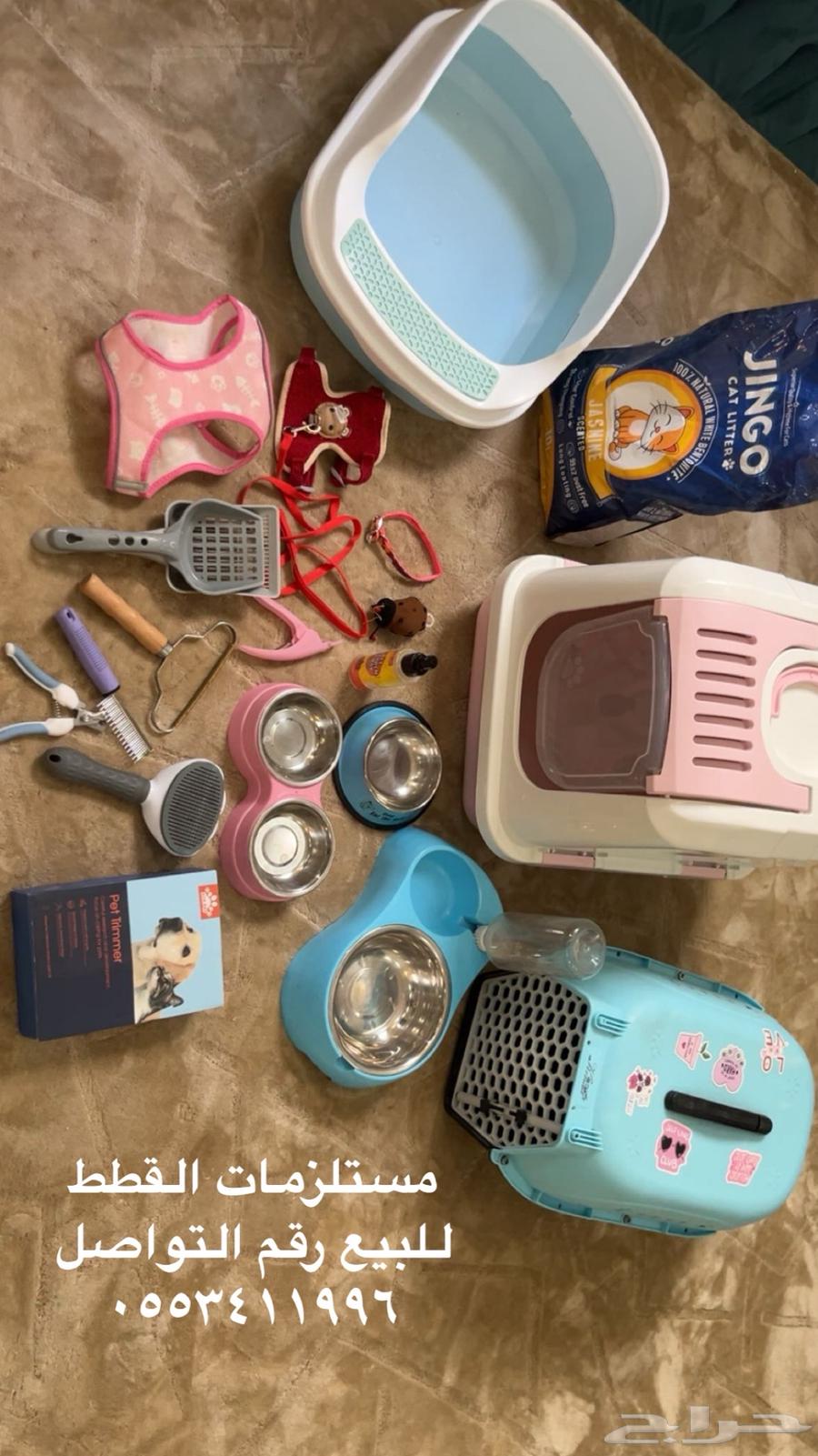 Used cat supplies63220534815617111