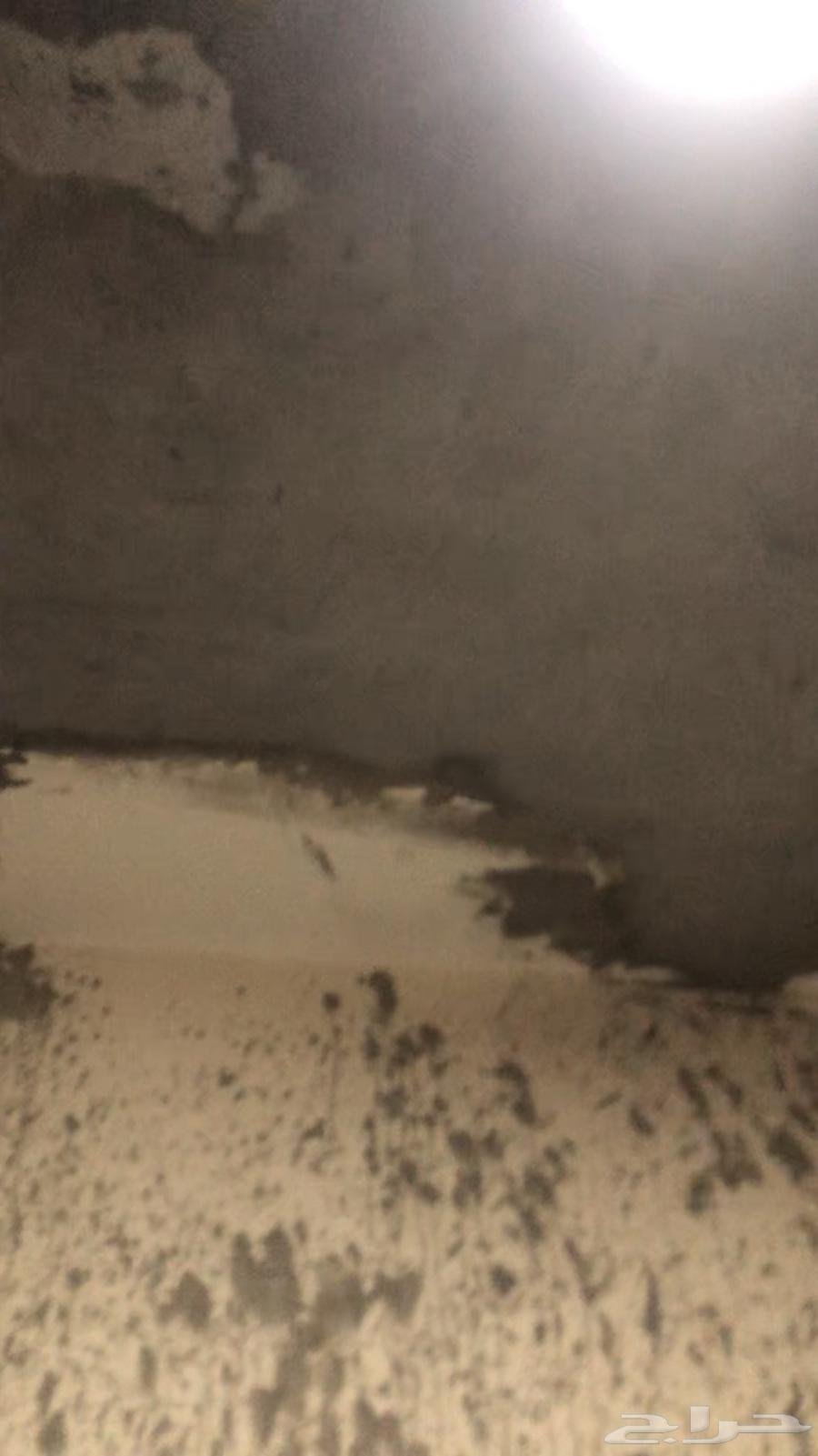 نشافه حراريه63219022600707111