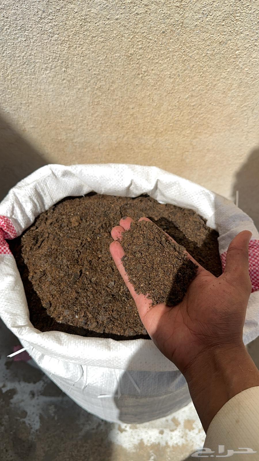 خبز ناشف - و تخ63219561263361111