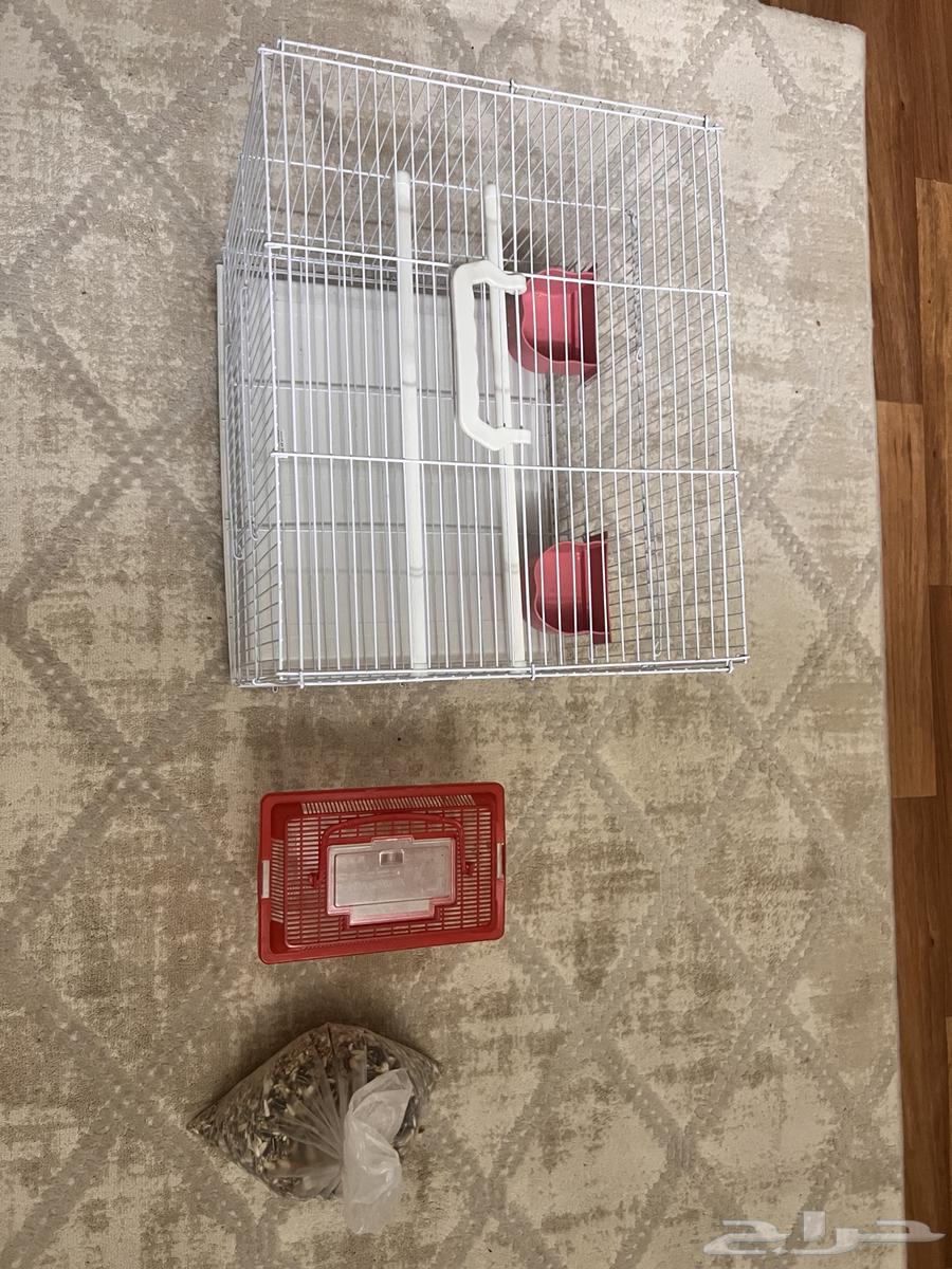 A large cage, a small chick cage, ate crowan63221052999555111