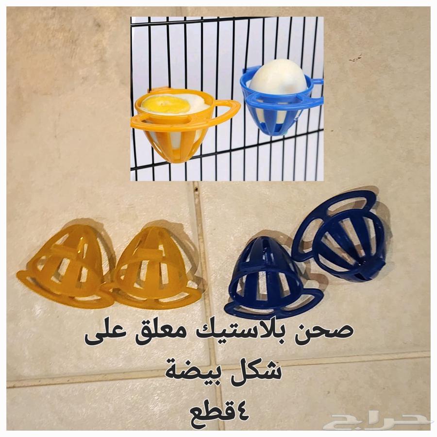 Bird cages and related items for sale63221045050115111