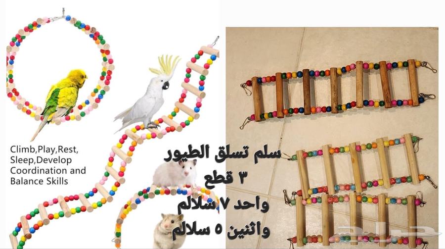 Bird cages and related items for sale63221045050115114