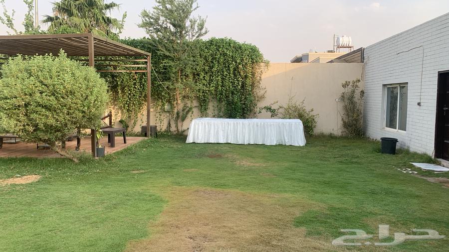 طاولة بوفيه 2 في 1 للإيجار سهله وخفيفه وتتسفط63219546804610113