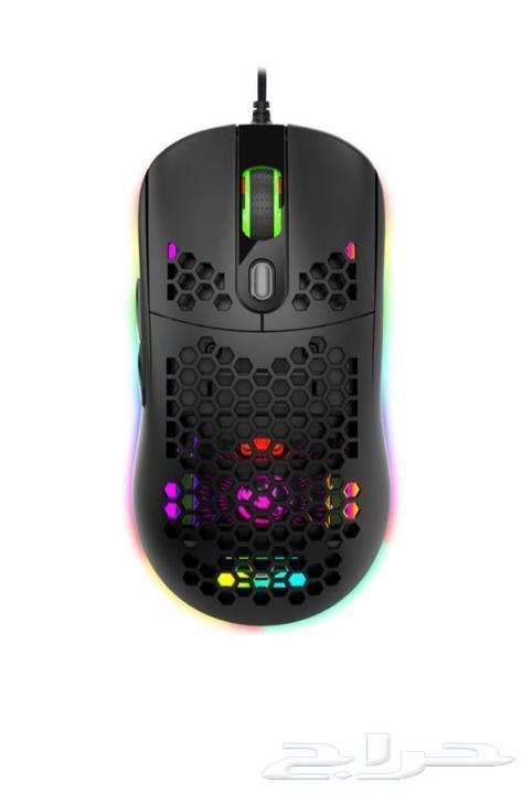 Various mice63221038314753112