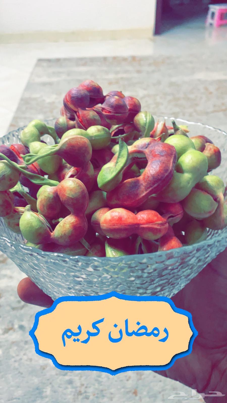 There are - Indian almond seeds.63218019463555112
