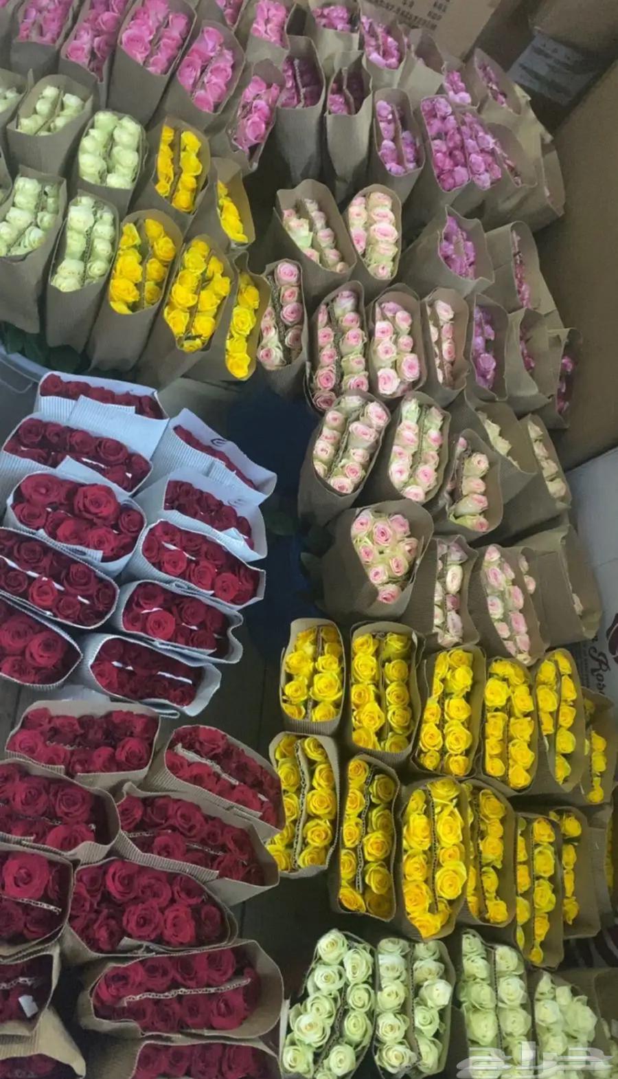 ورد طبيعي ب 50 ريال مع التوصيل وجميع الألوان63217057155586112