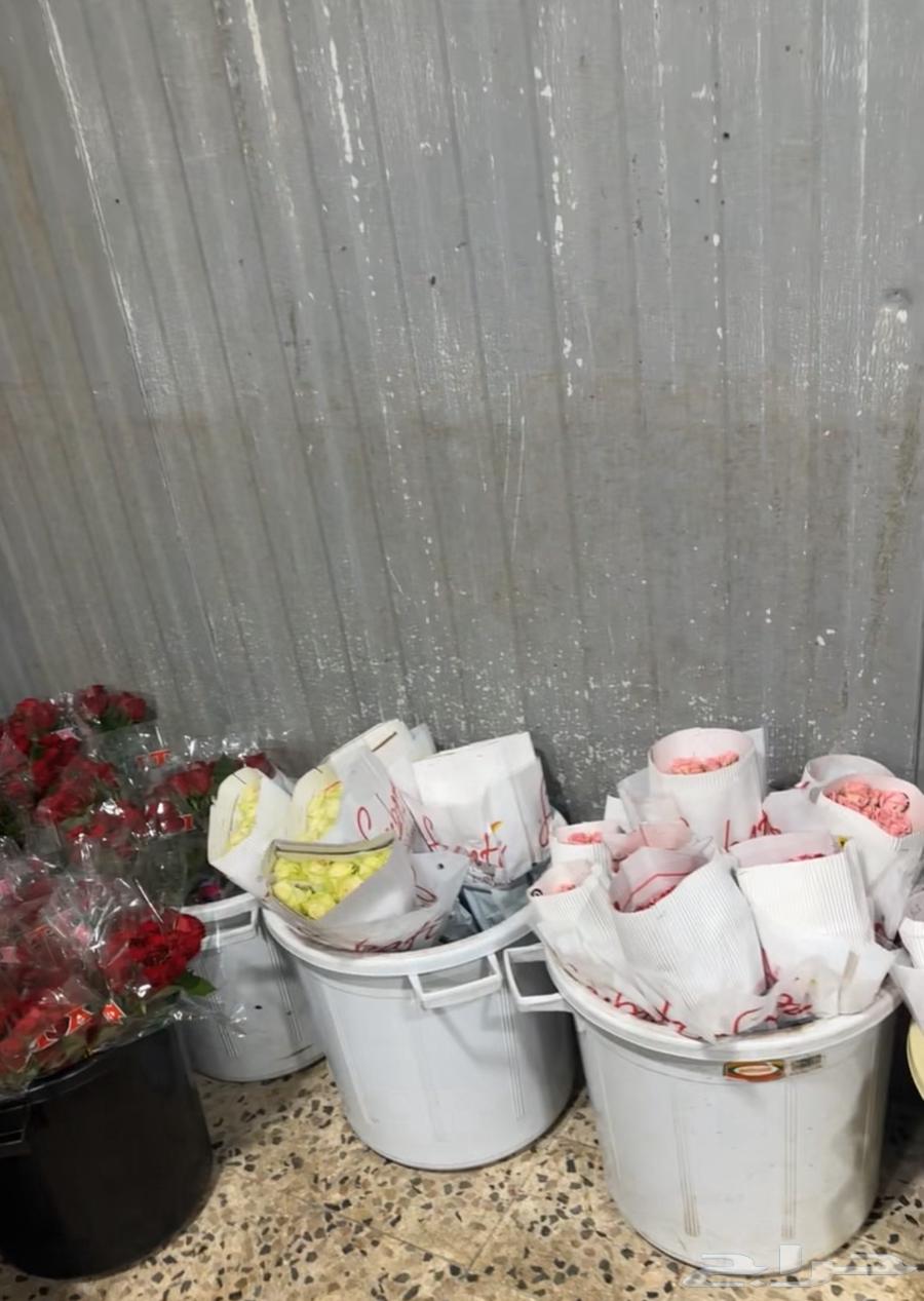 ورد طبيعي ب 50 ريال مع التوصيل وجميع الألوان63217057155586111