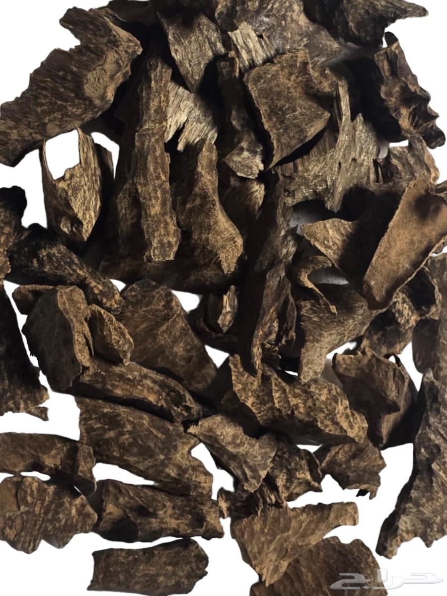 بخور كمبودي طبيعي غابات63219582238595111
