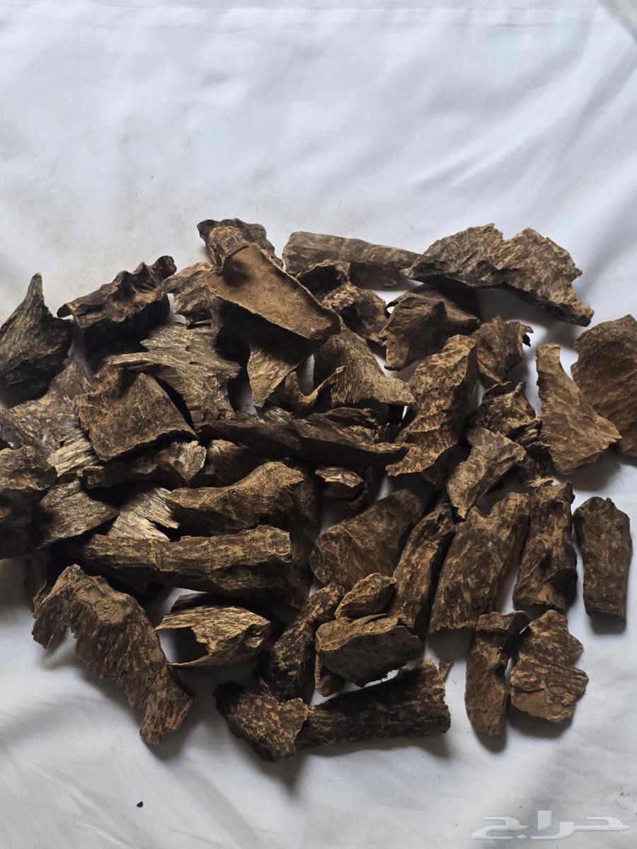 بخور كمبودي طبيعي غابات63219582238595112