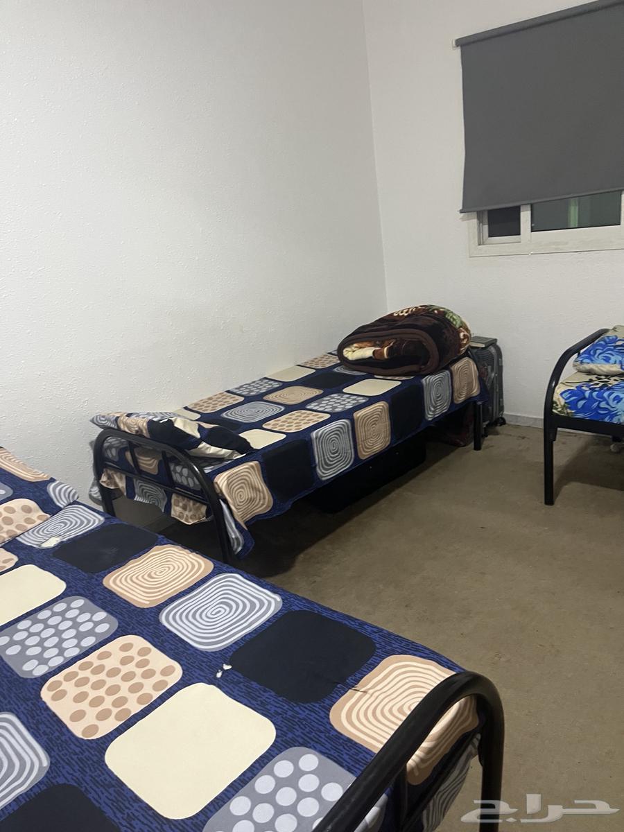 ثلاجه 2 سرير حديد بي مراتب غساله كهرباء63218037647618112