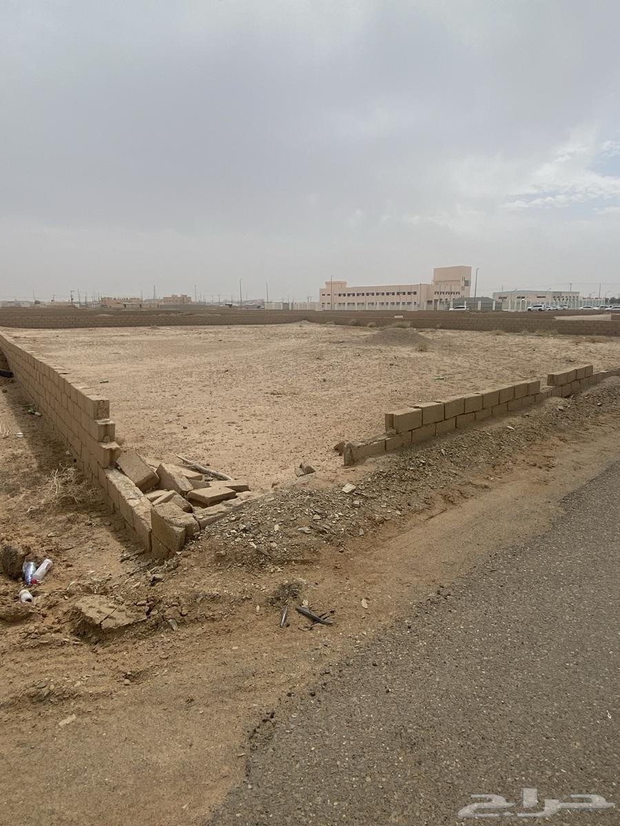 Land for sale in Al-Fuwairah, Qassim region62884371803523114