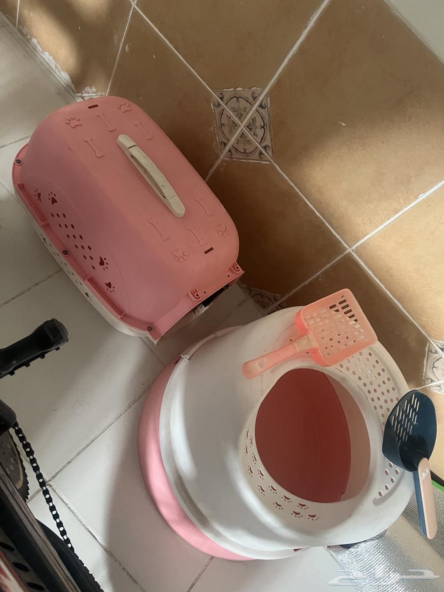 اغراض قطط63219585830658112
