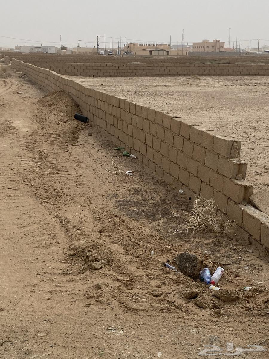 Land for sale in Al-Fuwairah, Qassim region62884371803523112