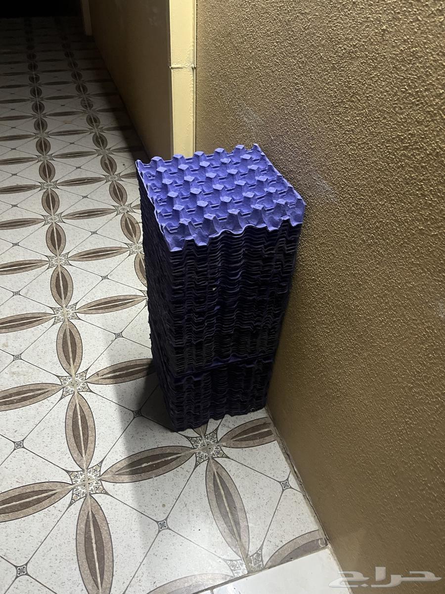 اطباق بيض فاضيه63219585823363111