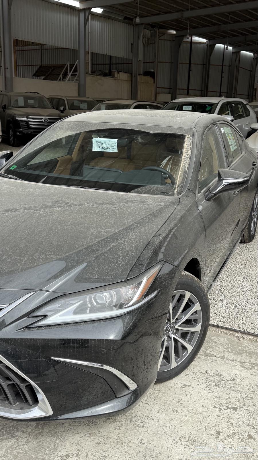 Sold63329282916993113